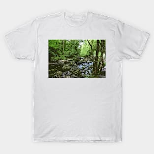 River through the Forest T-Shirt